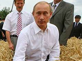 Путин во ржи. Фото с сайта www.vsnews.ru