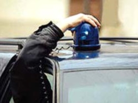 Мигалка. Фото с сайта www.images.km.ru Мигалка. Фото с сайта www.images.km.ru