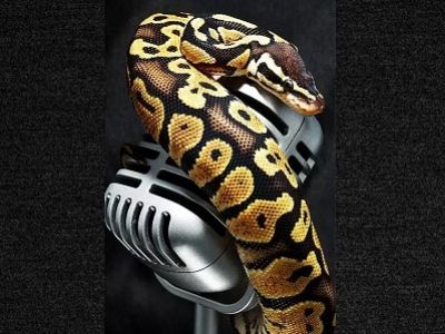 Микрофон и змея. Фото: imgs.photo4me.com
