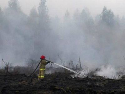 Пожар в Бурятии. Фото: РБК Украина Пожар в Бурятии. Фото: РБК Украина