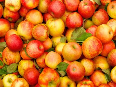 Яблоки. Фото: healthclub.su Яблоки. Фото: healthclub.su