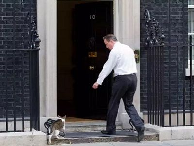 Кот Ларри с Даунинг-стрит, 10, и Дэвид Кэмерон. Источник - aif.ru Кот Ларри с Даунинг-стрит, 10, и Дэвид Кэмерон. Источник - aif.ru