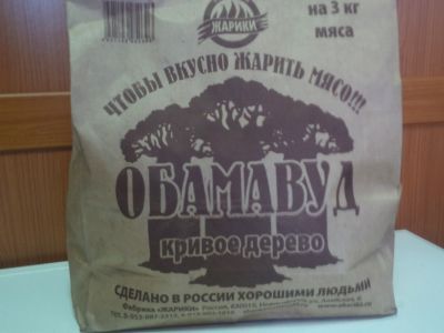 ОБАМАВУД. Фото: НГС.Новосибирск ОБАМАВУД. Фото: НГС.Новосибирск