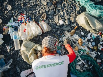 Фото: greenpeace.ru Фото: greenpeace.ru