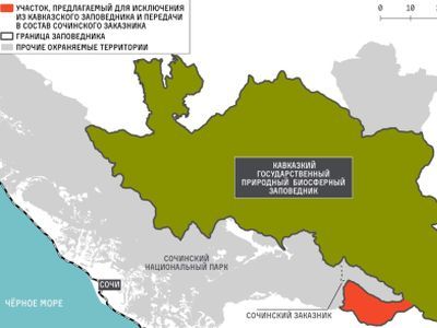 Краснодарская прокуратура вступилась за наследие ЮНЕСКО — Кавказский заповедник