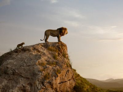 Кадр из мультфильма "Король Лев". Фото: Walt Disney Pictures Кадр из мультфильма "Король Лев". Фото: Walt Disney Pictures