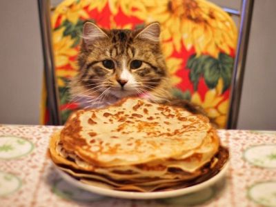 Масленица и кот. Фото: beolin.club Масленица и кот. Фото: beolin.club