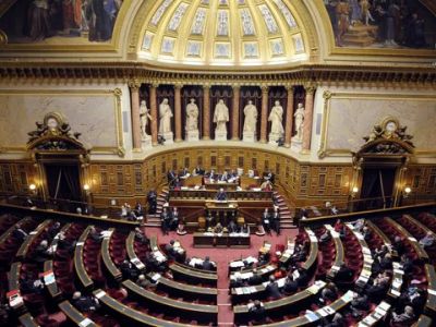 Сенат Франции одобрил законопроект пенсионной реформы