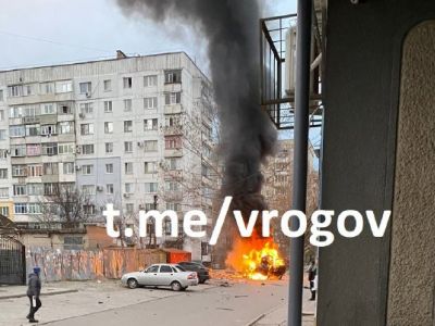 Фото: Владимир Рогов / Telegram Фото: Владимир Рогов / Telegram